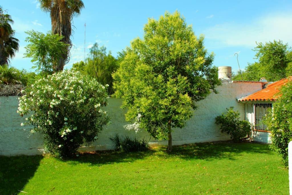 Вілла Big Beautiful House With Garden In 5Ta Seccion Neighbourhood Мендоса Екстер'єр фото